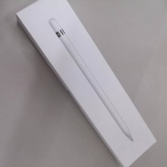 Apple/苹果apple Pencil手写笔 苹果笔 平板触控手写笔 【95新】一代